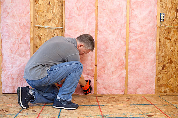 Best Commercial Insulation Services  in Hemby Bridge, NC